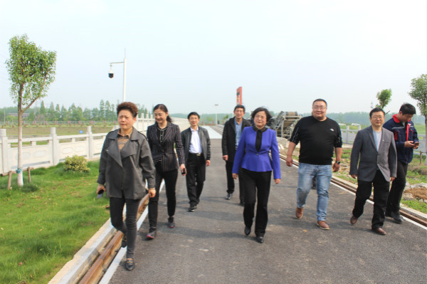 淮南副市長陸晞來鳳臺督查河長制林長制落實情況