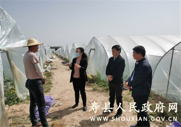 淮南市壽縣縣委副書(shū)孫奇志到澗溝鎮(zhèn)調(diào)研指導(dǎo)重點(diǎn)工作