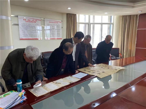 淮南大通區九龍崗鎮第十一屆“黨是陽光·我是苗”參賽作品評選成績斐然