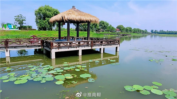 【圖說淮南】——初夏雨后的焦崗湖，暖風徐徐！