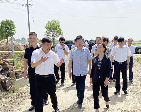 淮南市人大來鳳調研民族鄉村振興工作