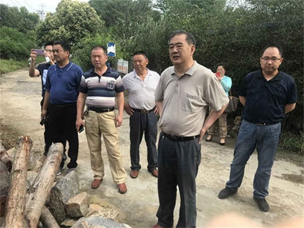 淮南市八公山區政協視察我區農村人居環境整治及河長制工作