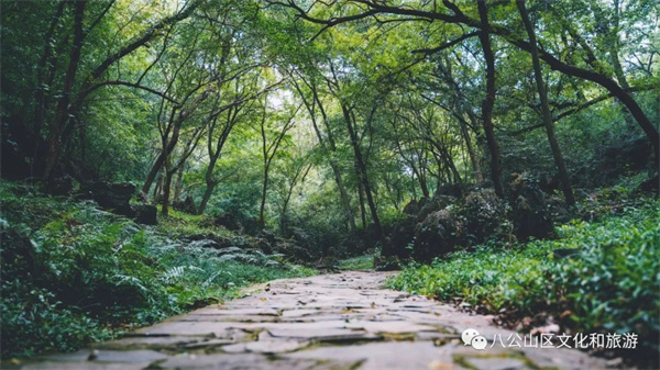 【圖說淮南】—— 早春徒步八公山，經典路線推薦（下）