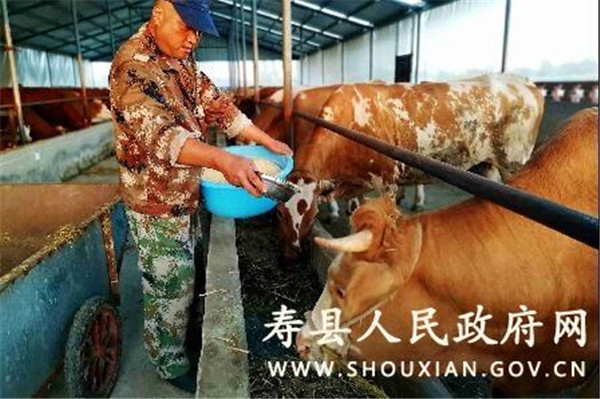 淮南壽縣：構建現代養殖體系 推動畜牧業高質量發展