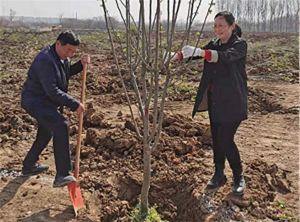 淮南市大通區(qū)紀(jì)委積極參與義務(wù)植樹活動(dòng)