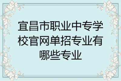 宜昌市職業(yè)中專學(xué)校軟件開發(fā)單招專業(yè)解析